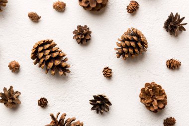 Çam kozalakları renkli masada. Çam kozalakları bir araya toplanmış doğal tatil geçmişi. Düz yatıyordu. Kış konsepti.