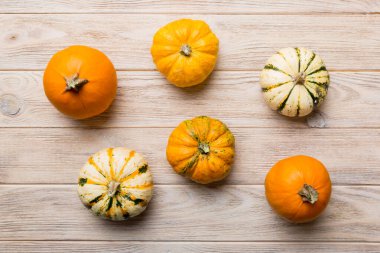 Renkli masa arkasında küçük turuncu balkabaklarının sonbahar kompozisyonu. Sonbahar, Cadılar Bayramı ve Şükran Günü konsepti. Sonbahar düz fotoğraf çekimi. Üst görünüm vith kopyalama alanı.
