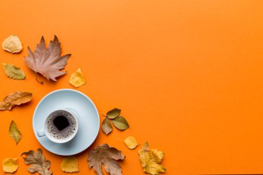 Renkli sonbahar kahve fincanı ve renkli yapraklarla bezenmiş düz bir kompozisyon. en üstteki görünüm.