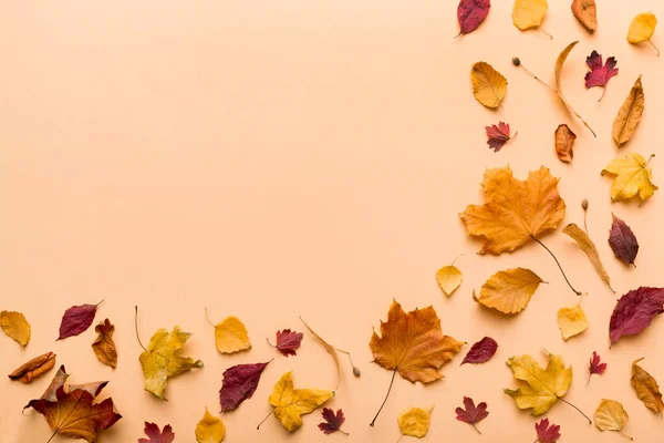 Composición Otoño Patrón Hecho Hojas Secas Otros Accesorios Diseño Mesa — Foto de Stock