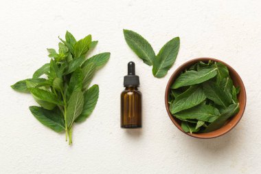 Cam Şişedeki Doğal Nane Özeli Yağı. Renkli arka planda nane özlü bitkisel kozmetik ürünleri.