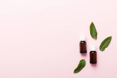 Cam Şişedeki Doğal Nane Özeli Yağı. Renkli arka planda nane özlü bitkisel kozmetik ürünleri.