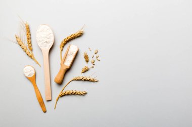 Tahta kasede buğday unu ve renkli arka planda buğday dikenleri. dünya buğday krizi.