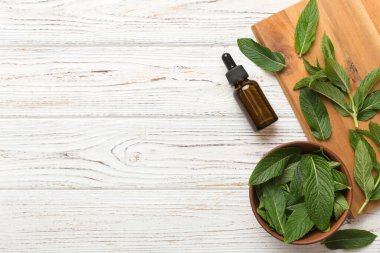 Cam Şişedeki Doğal Nane Özeli Yağı. Renkli arka planda nane özlü bitkisel kozmetik ürünleri.