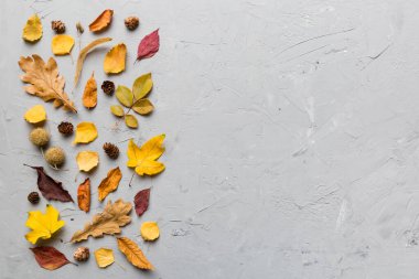 Sonbahar kompozisyonu. Masadaki kurumuş yapraklar ve diğer tasarım aksesuarlarından oluşan desen. Düz yatış, üst görünüm.