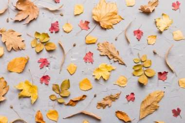 Sonbahar kompozisyonu. Masadaki kurumuş yapraklar ve diğer tasarım aksesuarlarından oluşan desen. Düz yatış, üst görünüm.