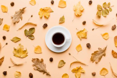 Renkli sonbahar kahve fincanı ve renkli yapraklarla bezenmiş düz bir kompozisyon. en üstteki görünüm.