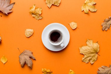 Renkli sonbahar kahve fincanı ve renkli yapraklarla bezenmiş düz bir kompozisyon. en üstteki görünüm.
