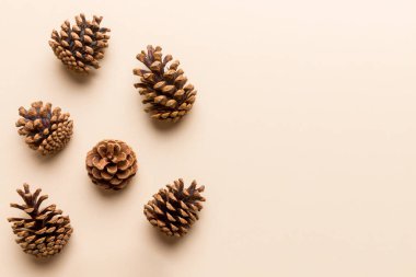 Renkli kağıt kenarlık kompozisyonu üzerinde noel kozalakları. Noel, yeni yıl, kış konsepti. Düz konum, üst görünüm, kopyalama alanı.