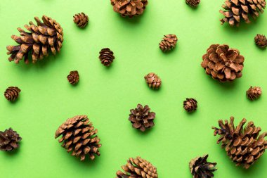 Çam kozalakları renkli masada. Çam kozalakları bir araya toplanmış doğal tatil geçmişi. Düz yatıyordu. Kış konsepti.