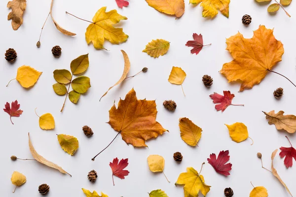 Composición Otoño Patrón Hecho Hojas Secas Otros Accesorios Diseño Mesa — Foto de Stock