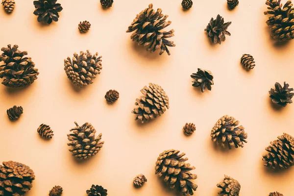 pine cones on colored table. natural holiday background with pinecones grouped together. Flat lay. Winter concept.