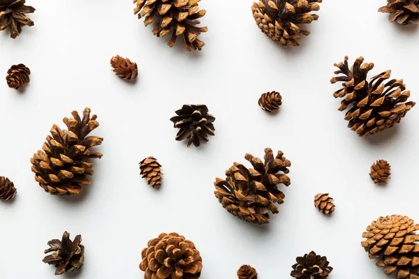 pine cones on colored table. natural holiday background with pinecones grouped together. Flat lay. Winter concept.