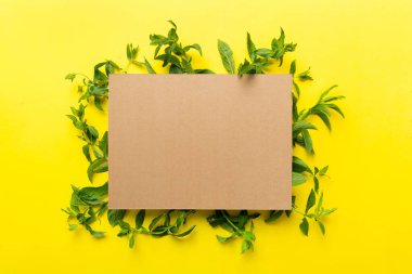 Boş kağıttan yapılmış çelenk çerçevesi, metin için boşluk ve renkli arkaplanda nane yaprakları. - Evet. Darphane deseni. Düz yatıyordu. Üst görünüm.