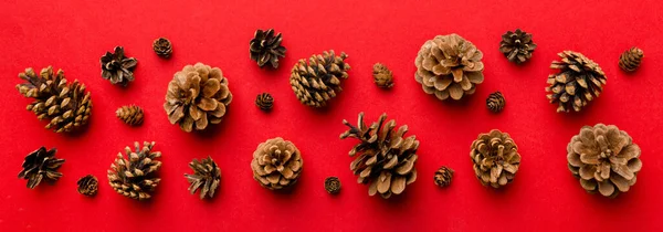 Christmas pine cones on colored paper border composition. Christmas, New Year, winter concept. Flat lay, top view, copy space.