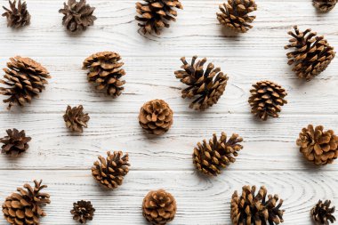 Çam kozalakları renkli masada. Çam kozalakları bir araya toplanmış doğal tatil geçmişi. Düz yatıyordu. Kış konsepti.