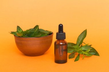 Cam Şişedeki Doğal Nane Özeli Yağı. Renkli arka planda nane özlü bitkisel kozmetik ürünleri.