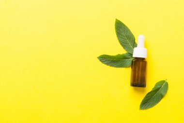 Cam Şişedeki Doğal Nane Özeli Yağı. Renkli arka planda nane özlü bitkisel kozmetik ürünleri.