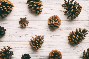 Çam kozalakları renkli masada. Çam kozalakları bir araya toplanmış doğal tatil geçmişi. Düz yatıyordu. Kış konsepti.