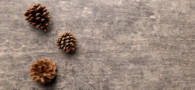 Renkli kağıt kenarlık kompozisyonu üzerinde noel kozalakları. Noel, yeni yıl, kış konsepti. Düz konum, üst görünüm, kopyalama alanı.