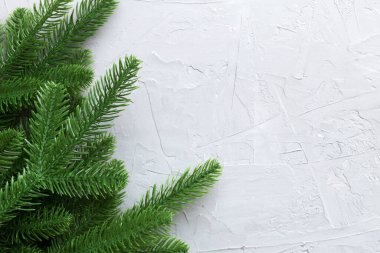 Reklam metinleri için fotokopi alanı olan bir Noel tatili. Renkli arka planda Firavun dalları. Düz yatış, üst görünüm.