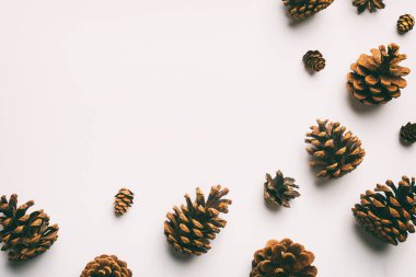 Renkli kağıt kenarlık kompozisyonu üzerinde noel kozalakları. Noel, yeni yıl, kış konsepti. Düz konum, üst görünüm, kopyalama alanı.