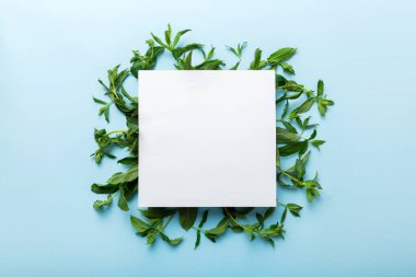 Boş kağıttan yapılmış çelenk çerçevesi, metin için boşluk ve renkli arkaplanda nane yaprakları. - Evet. Darphane deseni. Düz yatıyordu. Üst görünüm.