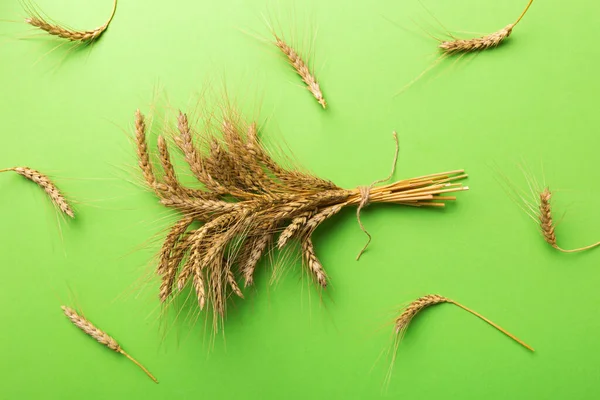 Sheaf of wheat ears close up and seeds on colored background. Natural cereal plant, harvest time concept. Top view, flat lay. world wheat crisis.