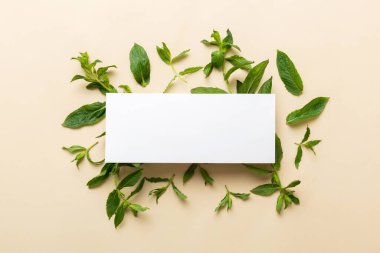 Boş kağıttan yapılmış çelenk çerçevesi, metin için boşluk ve renkli arkaplanda nane yaprakları. - Evet. Darphane deseni. Düz yatıyordu. Üst görünüm.