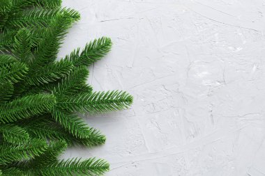 Reklam metinleri için fotokopi alanı olan bir Noel tatili. Renkli arka planda Firavun dalları. Düz yatış, üst görünüm.