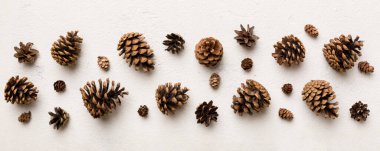 Renkli kağıt kenarlık kompozisyonu üzerinde noel kozalakları. Noel, yeni yıl, kış konsepti. Düz konum, üst görünüm, kopyalama alanı.