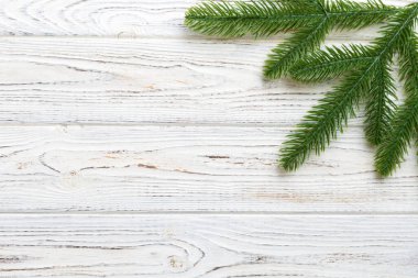 Reklam metinleri için fotokopi alanı olan bir Noel tatili. Renkli arka planda Firavun dalları. Düz yatış, üst görünüm.