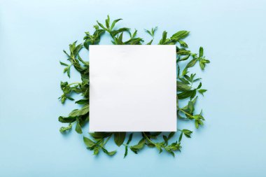 Boş kağıttan yapılmış çelenk çerçevesi, metin için boşluk ve renkli arkaplanda nane yaprakları. - Evet. Darphane deseni. Düz yatıyordu. Üst görünüm.