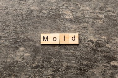 Ahşap blok üzerinde yazılı kelime kalıp. Kalıp metin tablo, kavram.