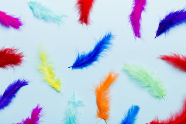 Parlak renkli tüylerin arka planına yaklaş. Renkli tüy arkaplanı, üst görünüm.