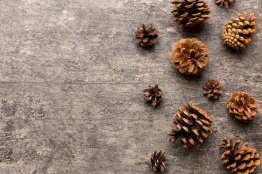 Renkli kağıt kenarlık kompozisyonu üzerinde noel kozalakları. Noel, yeni yıl, kış konsepti. Düz konum, üst görünüm, kopyalama alanı.