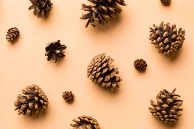 Çam kozalakları renkli masada. Çam kozalakları bir araya toplanmış doğal tatil geçmişi. Düz yatıyordu. Kış konsepti.