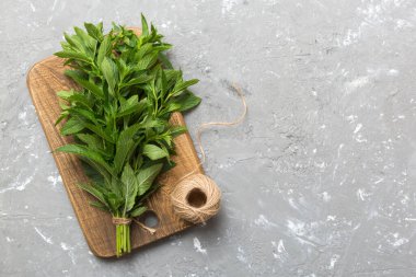 Renkli masada taze nane tomarı. Kopyalama alanı olan üst görünüm.