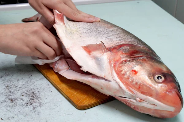 Cooking Silver Carp Cleaning Ribs Blotting Its Insides Napkin — Stock Photo, Image