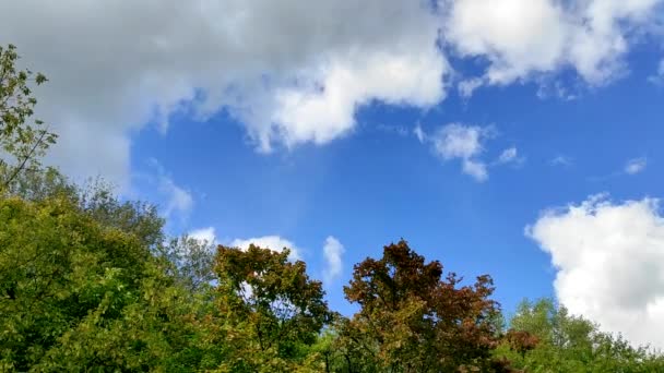 Timelapse Céu Azul Outono Com Nuvens Fundo Vídeo Céu Azul — Vídeo de Stock