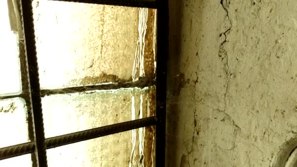 Pajęczyna Rogu Opuszczonego Domu Wewnątrz Opuszczonego Budynku Przemysłowego — Wideo stockowe