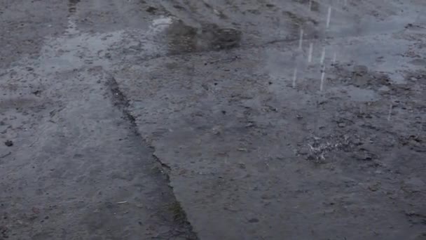 Şiddetli Yağmurun Video Görüntüleri Şiddetli Yağmur Asfalta Düşen Damlaları — Stok video