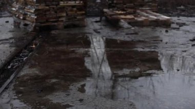 Bir yığın tahta yağmurda caddede yatıyor. Kereste fabrikasındaki kereste stoğu. Ahşap endüstrisi ve orman tahribatı kavramı..