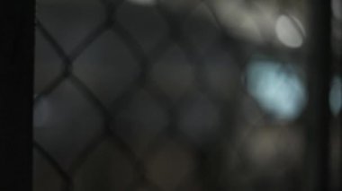 Blurred Focus change along the fence grid. Metal Mesh chain-link.