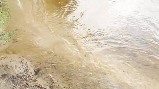 Ruhige Oberfläche Fluss Und Wellen Hintergrund Flussufer Mit Brandung Leichter — Stockvideo