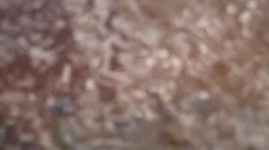 Bulanık su yüzeyi. Nehir veya göldeki bulanık su yüzeyinin soyut videosu.