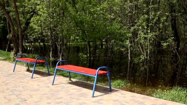 川の銀行の近くの公園内の2つの空の赤いベンチ 春の洪水の後 公園は水で溢れました 春には公園で休んでください 春の公園で穏やかな静かな晴天 — ストック動画