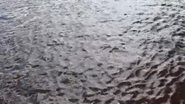 Vagues Surface Rivière Fond Surface Liquide Naturel Abstrait Bel Paisible — Video