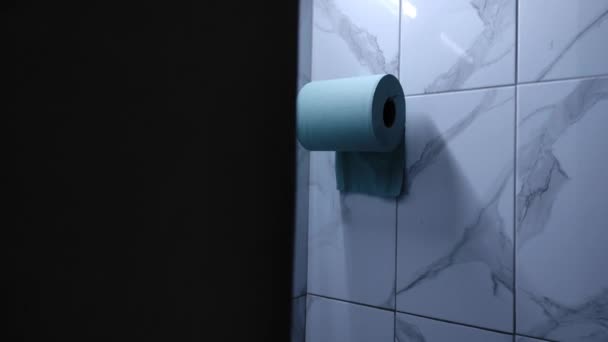 Roll Toilet Paper Restroom Paper Napkins Hands Restroom Interior Toilet — Stockvideo