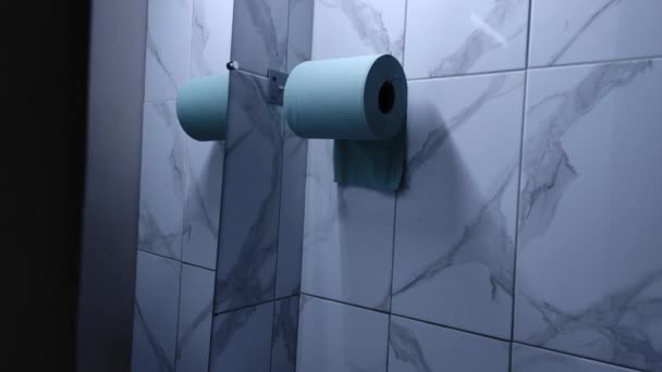 Roll Toilet Paper Restroom Paper Napkins Hands Restroom Interior Toilet — Stock videók